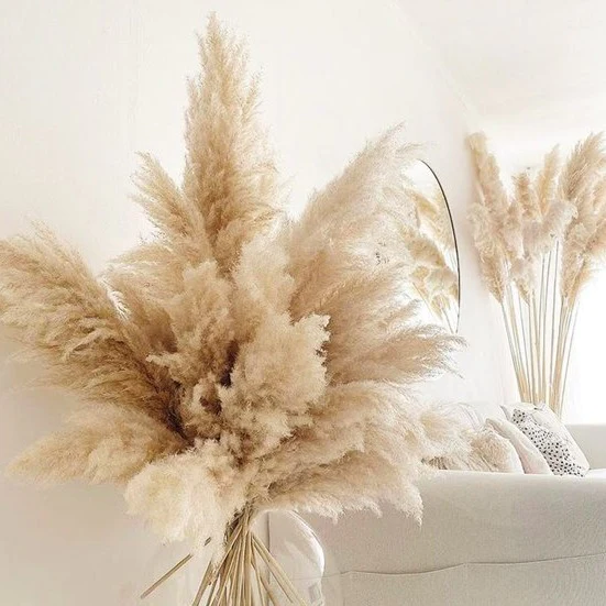 how to dry pampas grass for decor