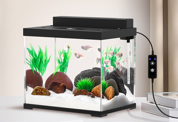 small fish tank with light and filter