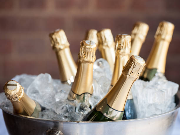 Best Ice Makers for Home Bars