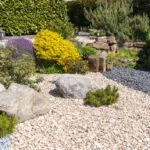 best decorative stones for garden