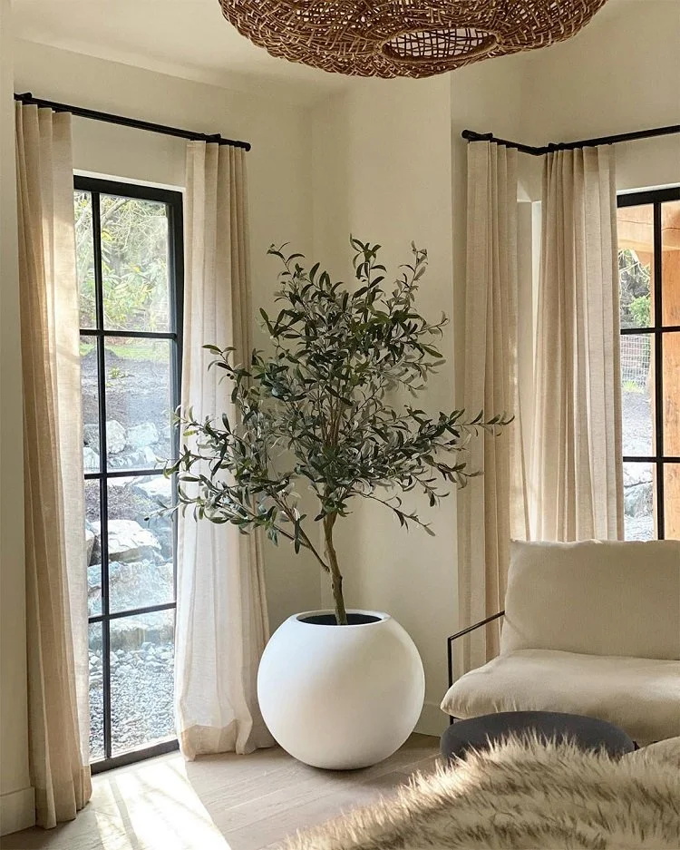 Faux Olive Plants